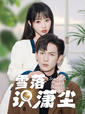 雪落识潇尘(80集) 雪落识潇尘(80集)热播短剧抢先看