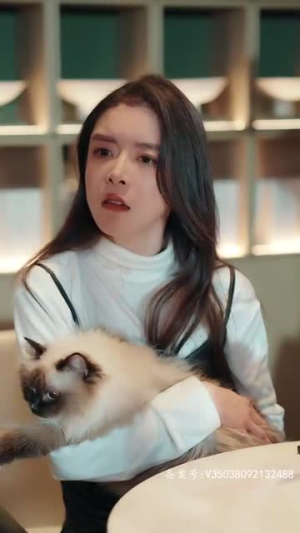 顾盼生兮(81集) 顾盼生兮(81集)西瓜短剧免费看