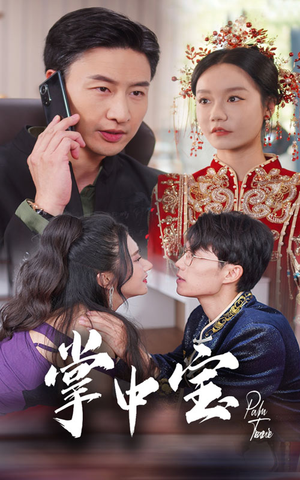 掌中宝(31集) 掌中宝(31集)短剧太好看