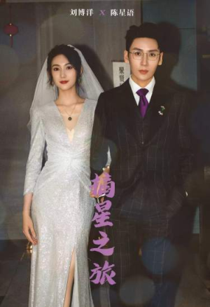 摘星之旅(88集) 摘星之旅(88集)热门短剧推荐。