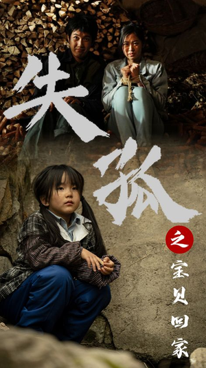 失孤之宝贝回家（71集）短剧推荐更新中
