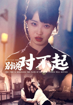 别说对不起(35集) 别说对不起(35集)大结局完美收官