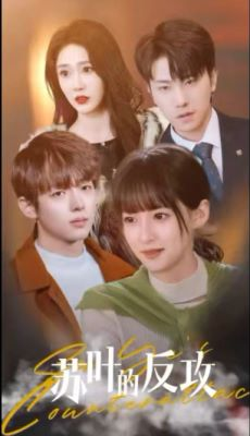苏叶的反攻(97集) 苏叶的反攻(97集)海量资源免费看
