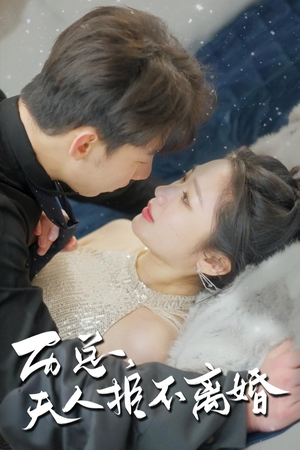 历总,夫人拒不离婚(61集) 历总,夫人拒不离婚(61集)精彩短剧天天看