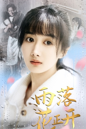 雨落花正开(62集) 雨落花正开(62集)全网短剧抢先看