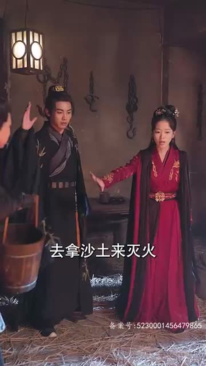 大脚医妃(77集) 大脚医妃(77集)高分佳作免费看