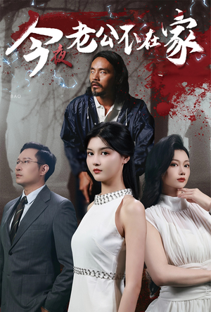 今夜老公不在家(44集) 今夜老公不在家(44集)精彩短剧合集