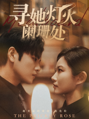 寻她灯火阑珊处(61集) 寻她灯火阑珊处(61集)全集下载