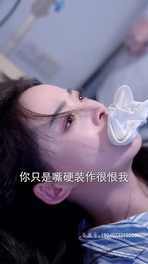 世间始终你好（93集）热门短剧抢先