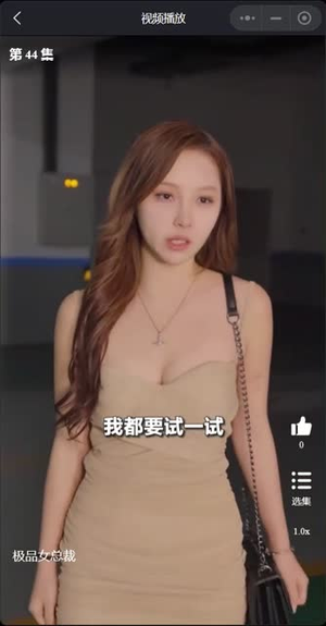 我的富豪美女总裁(我的极品女总裁) 我的富豪美女总裁(我的极品女总裁)免费看短剧全集