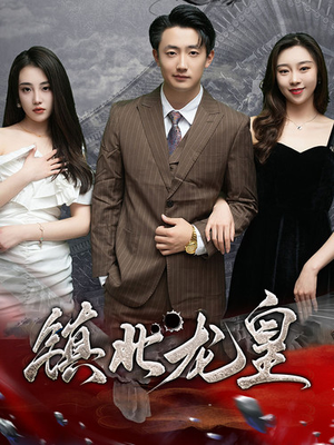 镇北龙帅(97集) 镇北龙帅(97集)追短剧关注我