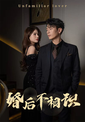 婚后不相识(100集) 婚后不相识(100集)热播短剧重燃