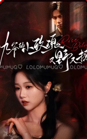 九爷的小玫瑰又野又撩(100集) 九爷的小玫瑰又野又撩(100集)推荐热门短剧