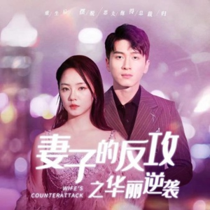 妻子的反攻之华丽逆袭（30集）免费看全集