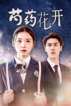 火光中的芍药花(77集) 火光中的芍药花(77集)男主角是谁