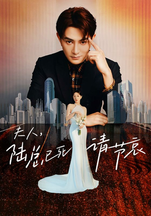 夫人,陆总已死请节哀(95集) 夫人,陆总已死请节哀(95集)热门了短剧