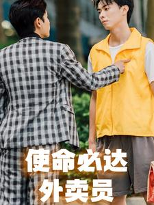 使命必达外卖员(31集) 使命必达外卖员(31集)看到了大结局