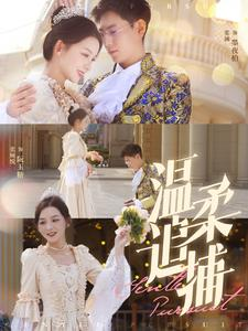 温柔追捕(89集) 温柔追捕(89集)最新上映免费看