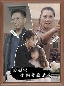 团圆饭手撕奇葩亲戚(40集) 团圆饭手撕奇葩亲戚(40集)全集一次看完