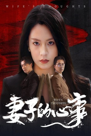妻子的心事（60集）每天短剧分享