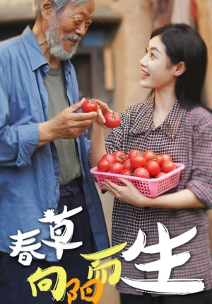 春草向阳而生(53集) 春草向阳而生(53集)恋爱短剧分享