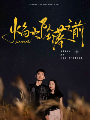 焰火坠落之前（99集）一口气看完