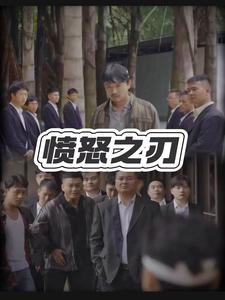 愤怒之刃(35集) 愤怒之刃(35集)全集在线看