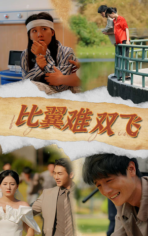 比翼难双飞(30集) 比翼难双飞(30集)短剧全集免费看