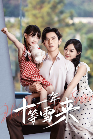 十一年等雪来(50集) 十一年等雪来(50集)在哪个平台看好