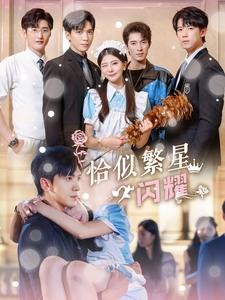 恰似繁星闪耀(74集) 恰似繁星闪耀(74集)短剧解说全集