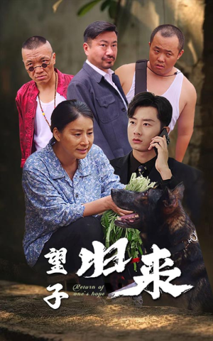 望子归来(50集) 望子归来(50集)短剧免费观看