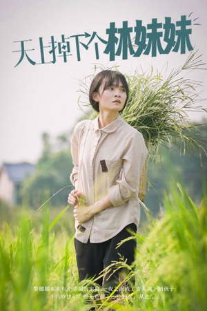天上掉下个林妹妹（81集）短剧太精彩了