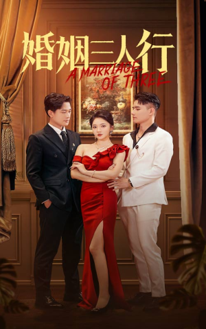 婚姻三人行（31集）全集下载