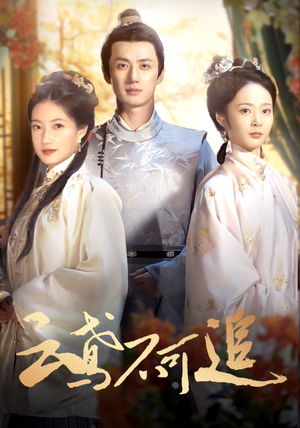 云鸢不可追(42集) 云鸢不可追(42集)免费全集短剧