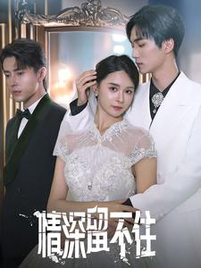 情深留不住(80集) 情深留不住(80集)最新上映的短剧