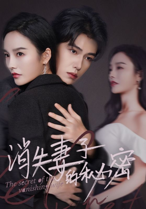 消失妻子的秘密（60）精彩短剧片段