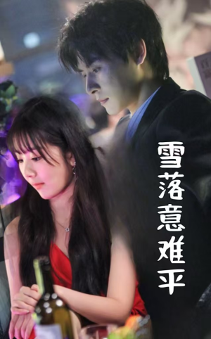 雪落意难平(35集) 雪落意难平(35集)第一季