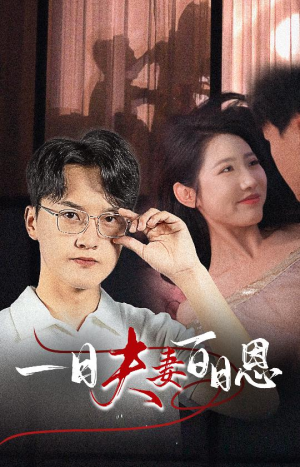 一日夫妻百日恩（30集）在线看完整版