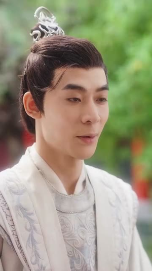 宫墙今夜有雪（84集）短剧全集大结局