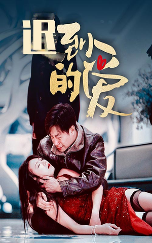 迟到的爱（35集）在哪个平台看