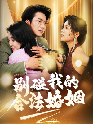别碰我的合法婚姻(30集) 别碰我的合法婚姻(30集)全集一网打尽
