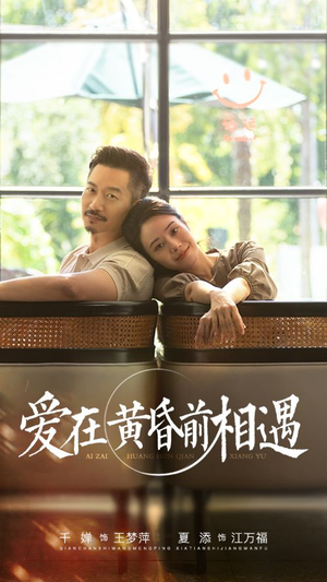 爱在黄昏前相遇(65集) 爱在黄昏前相遇(65集)免费短剧就是爽