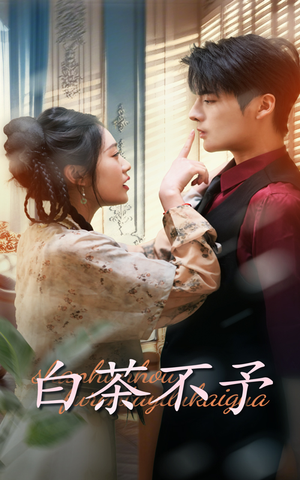 白茶不予(68集) 白茶不予(68集)夸克网盘在线看