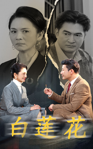 白莲花(40集) 白莲花(40集)真的太好看了