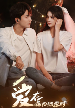 爱在曙光微露时(49集) 爱在曙光微露时(49集)短剧精彩推荐