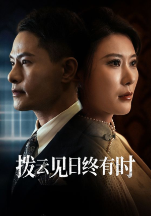 拨云见日终有时(30集) 拨云见日终有时(30集)超火短剧抢先看