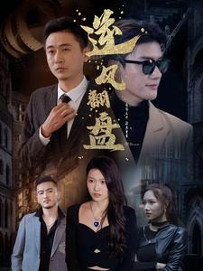 新:逆风翻盘(94集) 新:逆风翻盘(94集)高清无码免费看