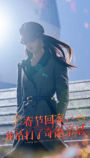 春节回家,我吊打了奇葩亲戚(30集) 春节回家,我吊打了奇葩亲戚(30集)无需会员轻松看