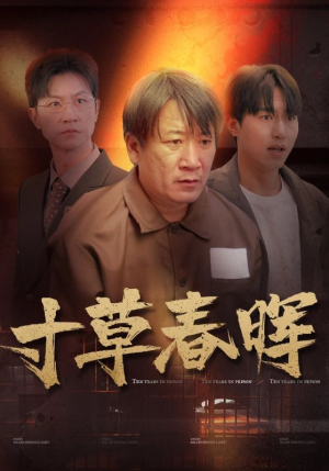 寸草春晖(31集) 寸草春晖(31集)好看的短剧电影