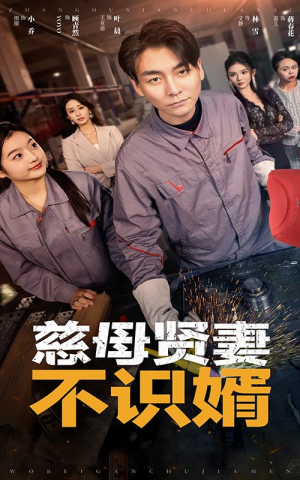 慈母贤妻不识婿(45集) 慈母贤妻不识婿(45集)追风的女孩短剧